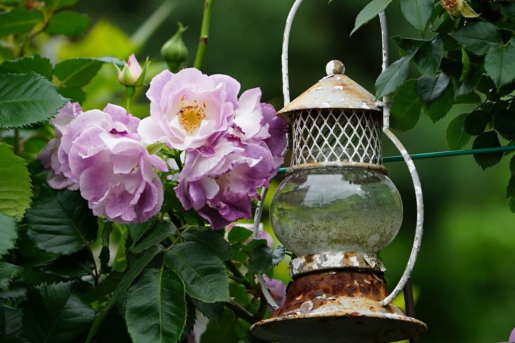 シグマ 105mm F2.8 DG DN MACRO ART作例有り