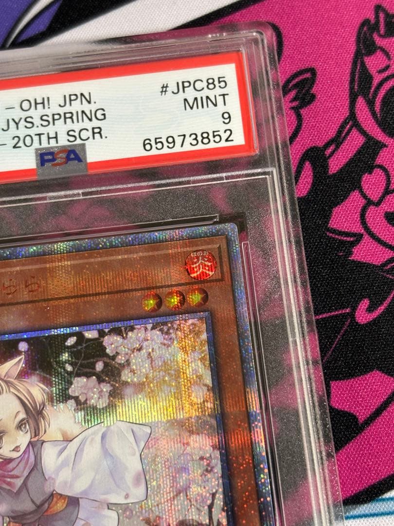 遊戯王 灰流うらら 20th psa9