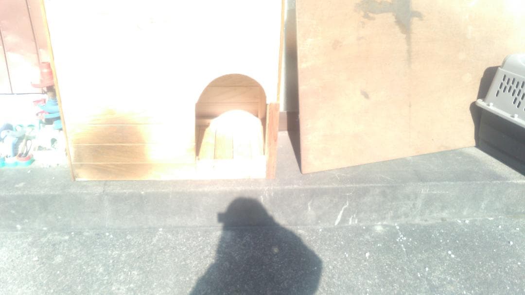 犬小屋　手作り　ヒノキ使用　愛犬が一度も入りません　上部フタ取り外し可　埼玉引取