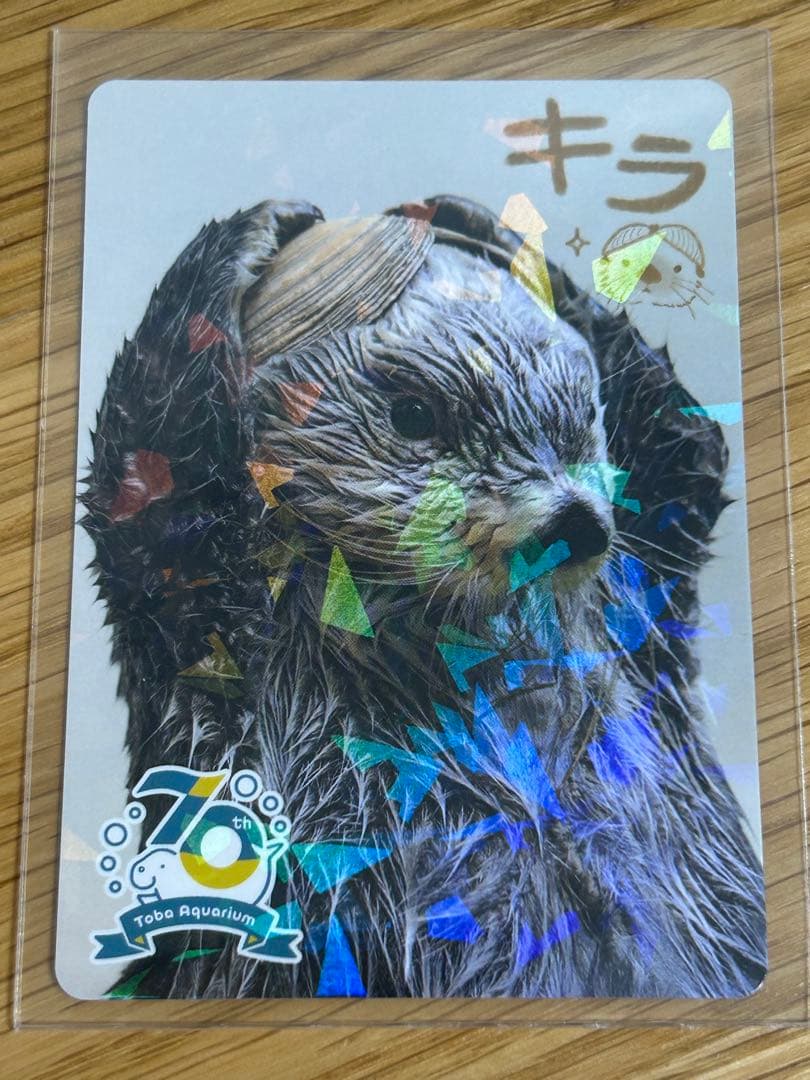 あ*だ様 【鳥羽水族館】コレクションカード　キラ（レアカード）　ラッコ　貝かぶり