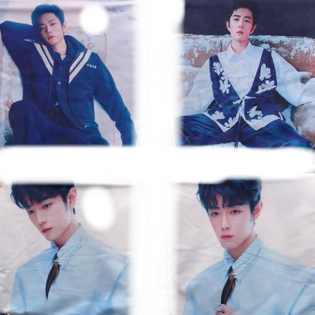 シャオジャン　肖战 2026年越し番組　ELLE雑誌　クッションカバー10点