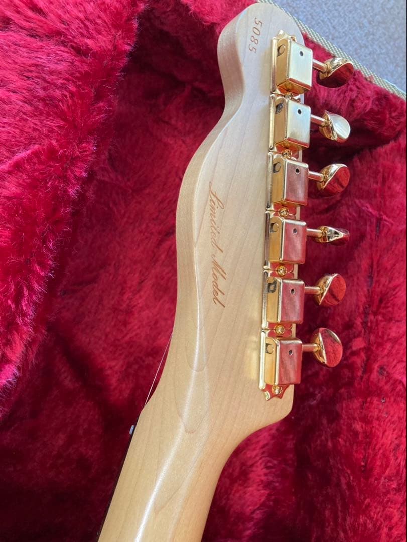 希少！　momose 2014楽器フェア出展モデル