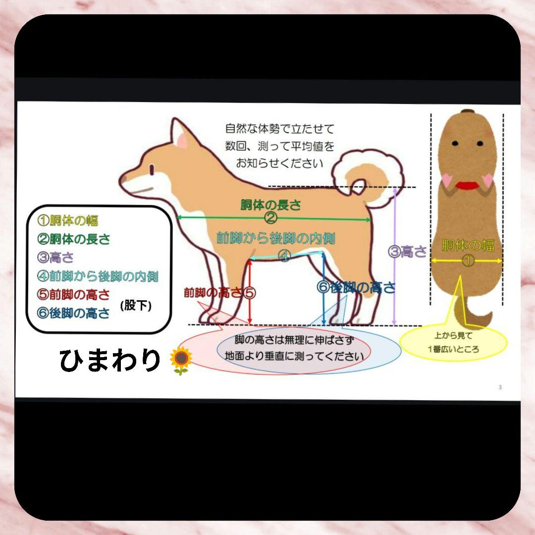 犬用4輪　リハビリ　食事補助　犬用車椅子　体制維持　犬の歩行器