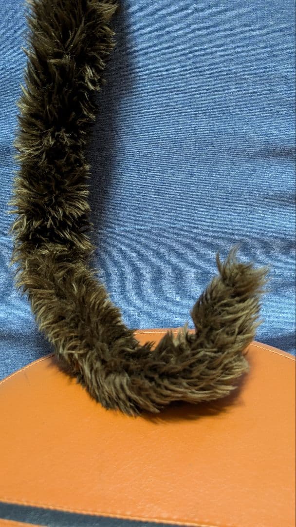 確認用画像です!!