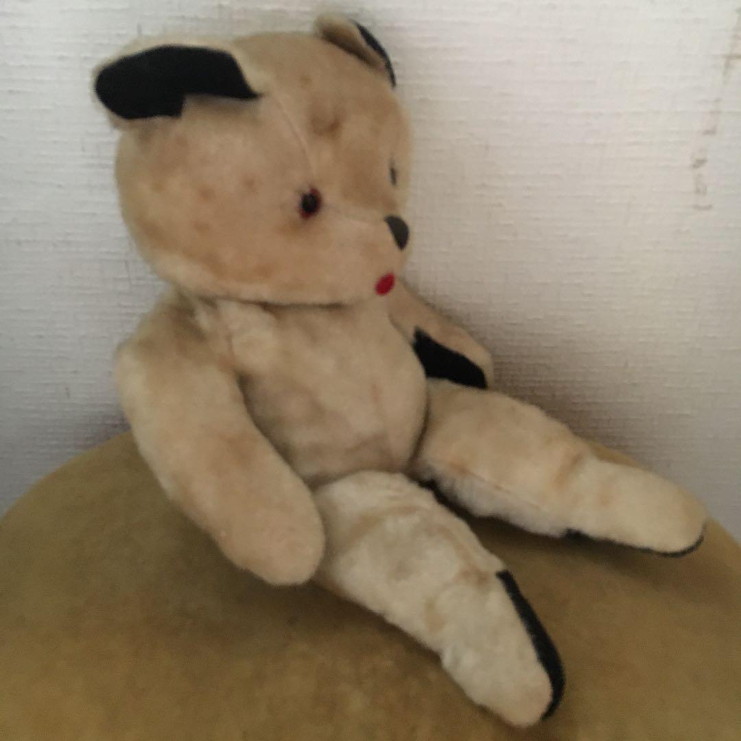 スーティーベア