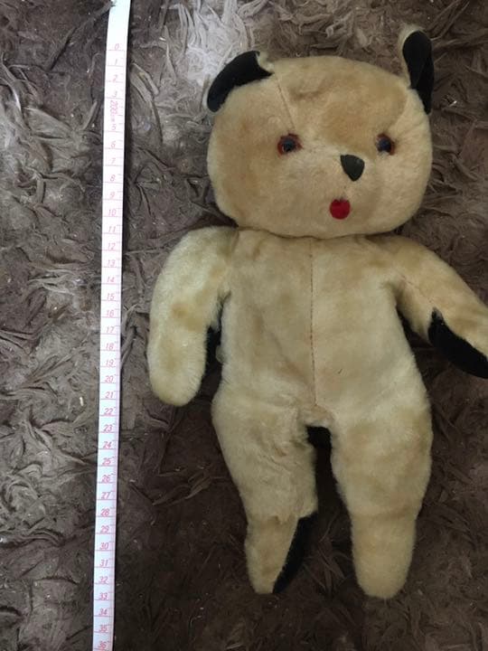 スーティーベア