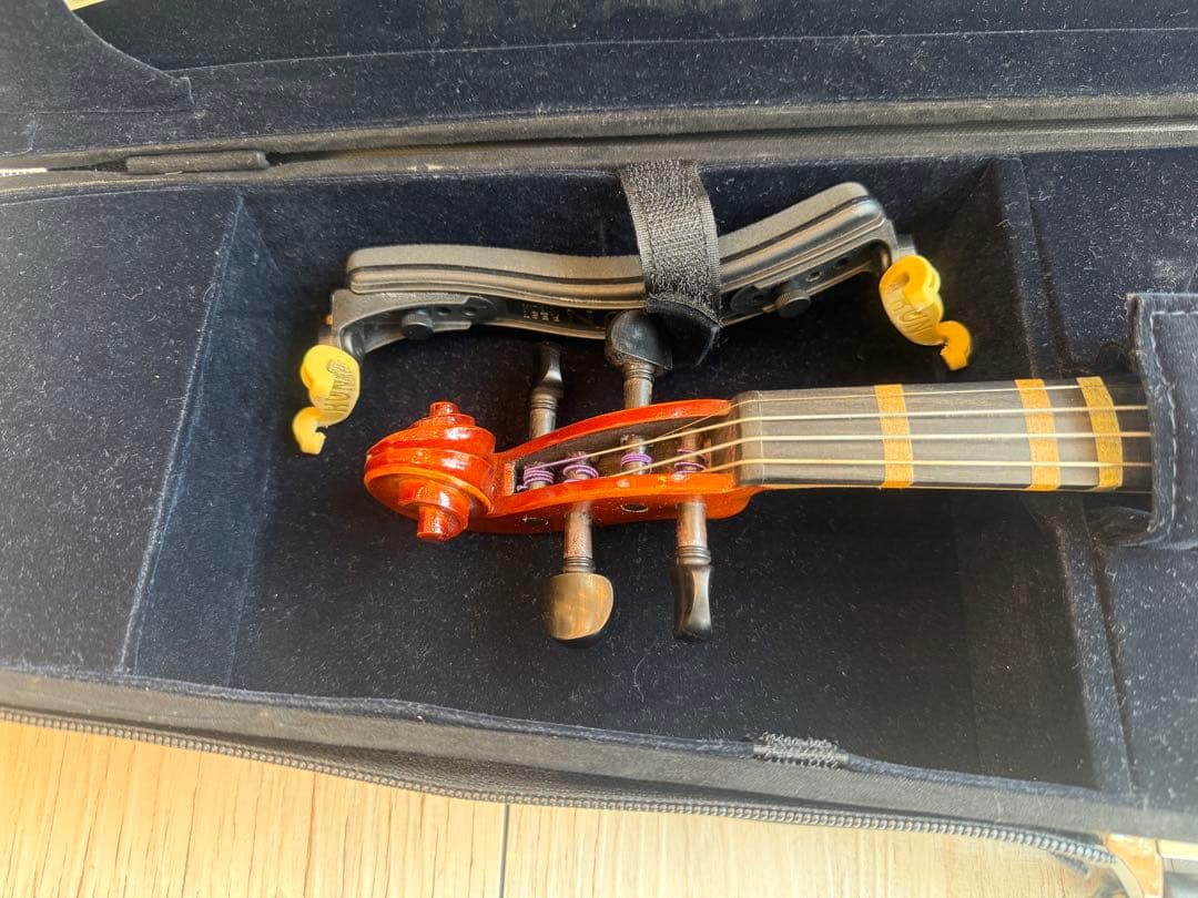 Andreas Eastman VL80 2020年 3/4 バイオリン本体