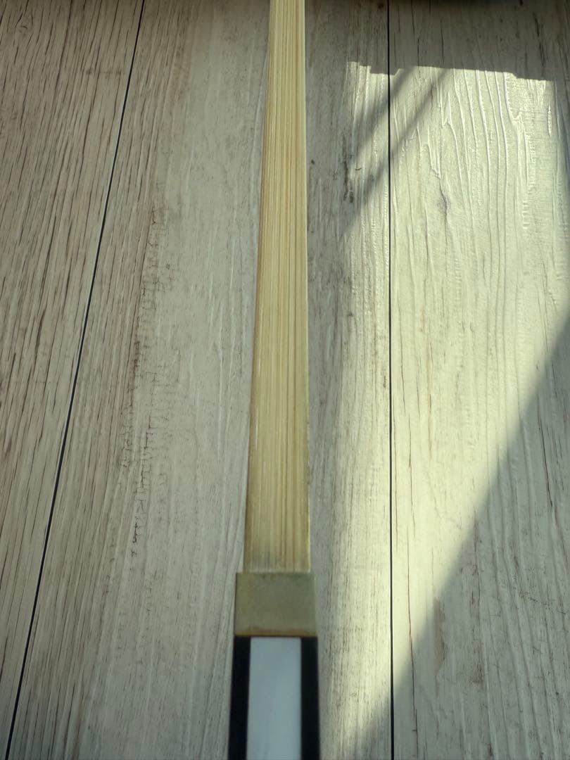 Andreas Eastman VL80 2020年 3/4 バイオリン本体