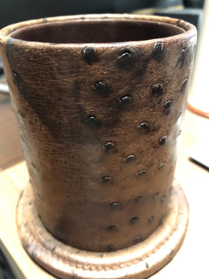 ◆164◆GUCCI　オーストリッチ ペンホルダー