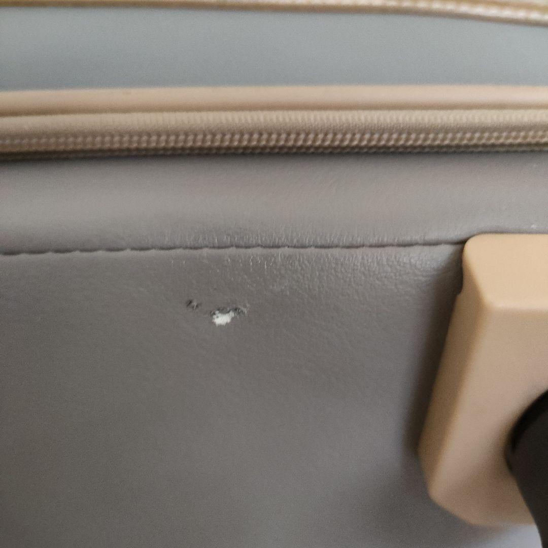 プロテカ ジーニオセンチュリーソフト グレージュ 機内持ち込み 28L