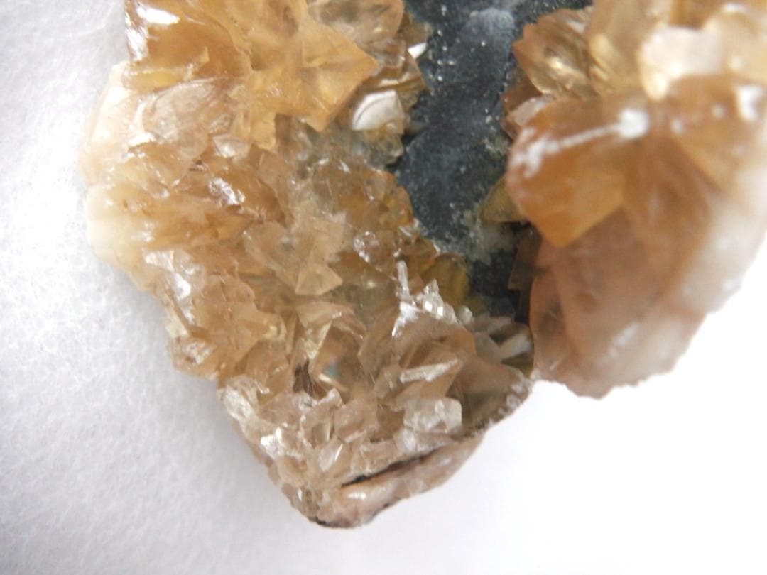 m盆・・・さま専用：方解石化した二枚貝の化石 カルサイト 鉱物標本 蛍光鉱物