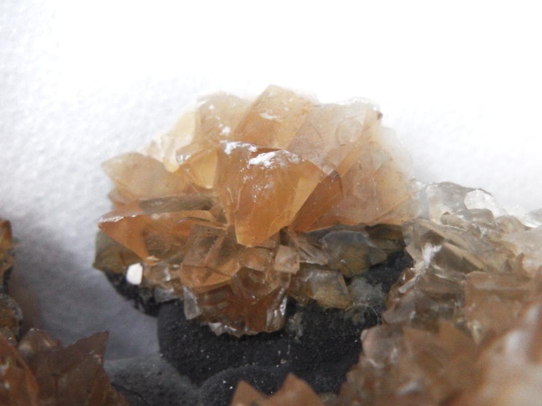 m盆・・・さま専用：方解石化した二枚貝の化石 カルサイト 鉱物標本 蛍光鉱物