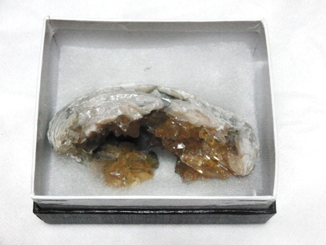 m盆・・・さま専用：方解石化した二枚貝の化石 カルサイト 鉱物標本 蛍光鉱物