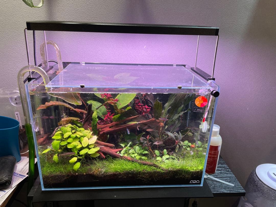 Chihiros WRGB2 45 10周年モデル RGBライト 3600lm