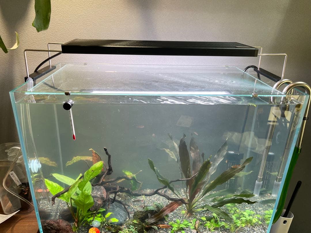 Chihiros WRGB2 45 10周年モデル RGBライト 3600lm