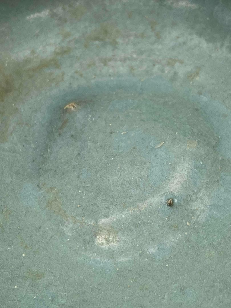 五代～北宋時代　青磁　汝官窯支釘洗　北方青磁　南宋官窯　支針焼き(C-69)