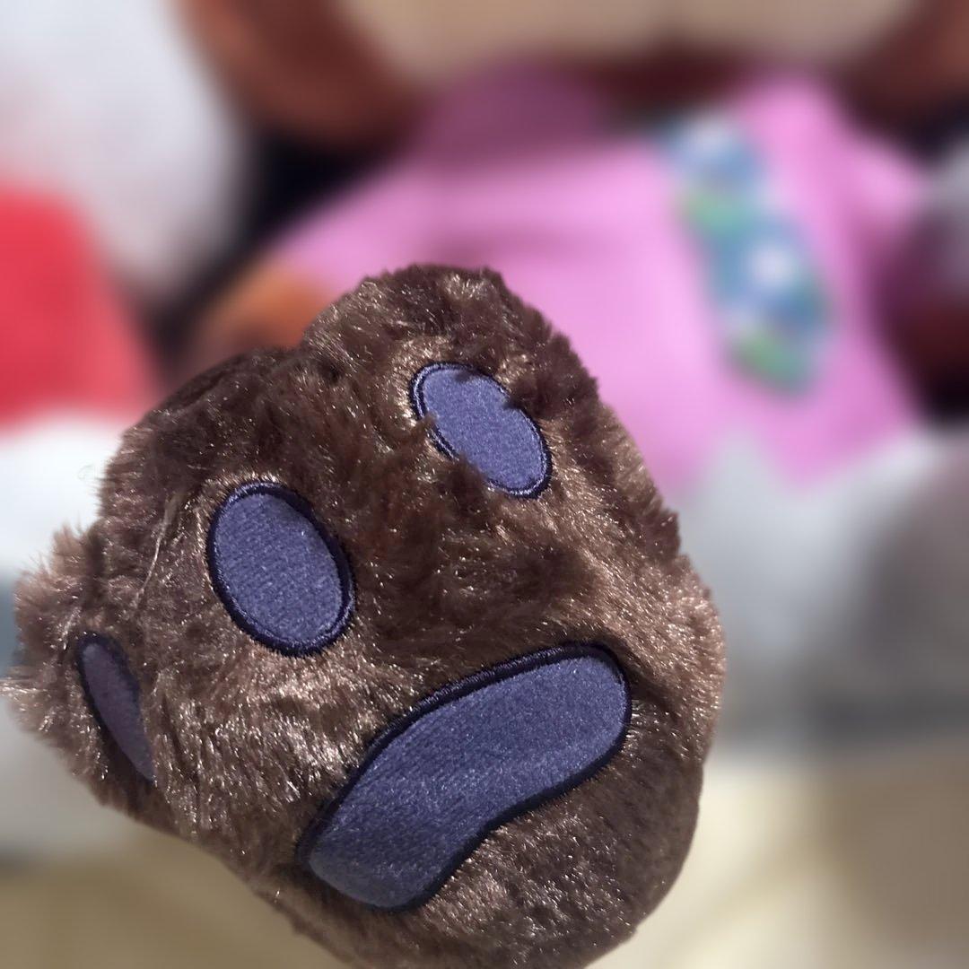 セット・ニックand ジュディ