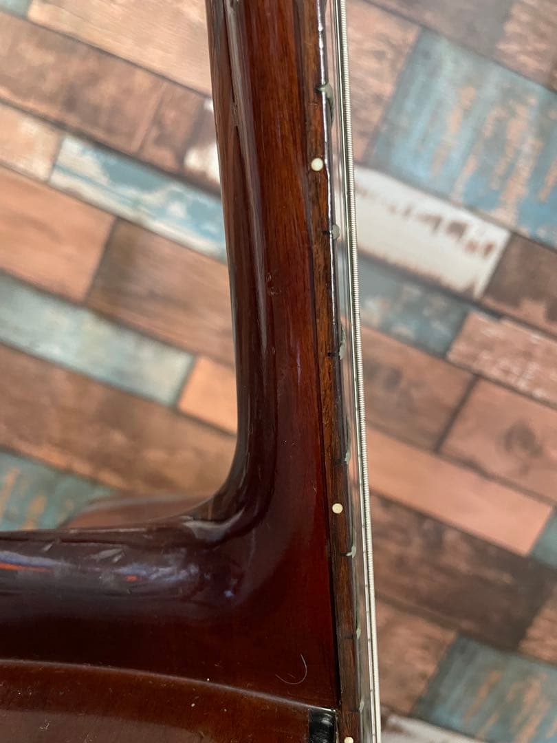 弾いてよし！飾ってよし！Aria W130 アコースティックギター