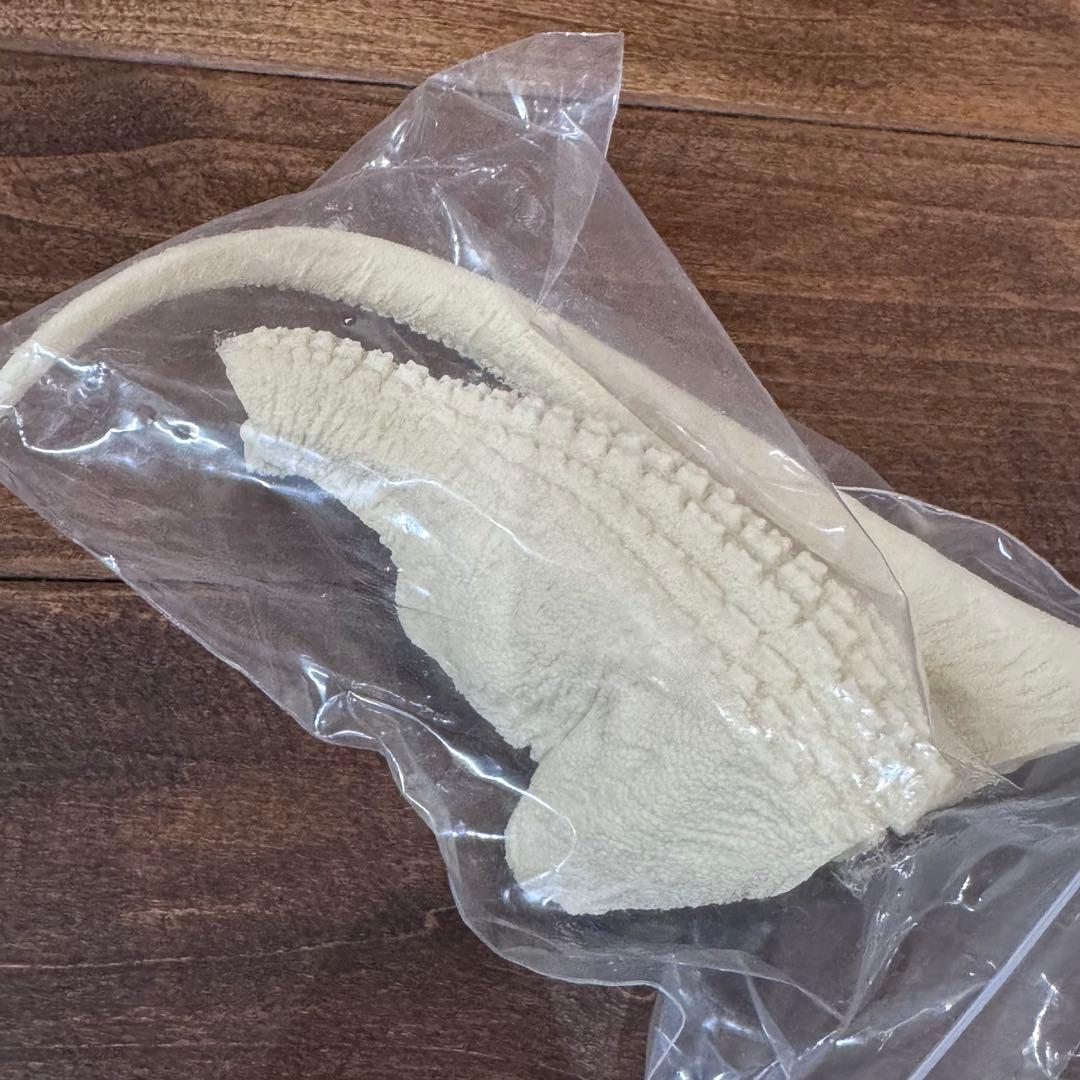 SHINZEN造形研究所 ゴジラザウルス 特典付 ガレージキット【内袋未開封】