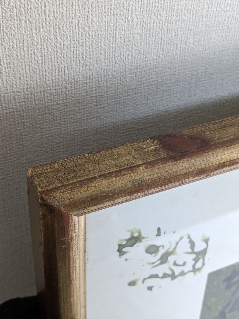 須田剋太 如心偈華厳経絵