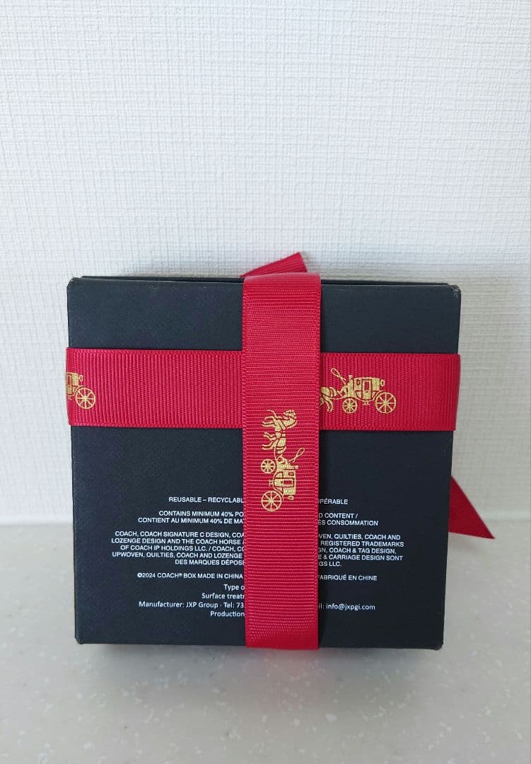 COACH チェーン フープ ピアス