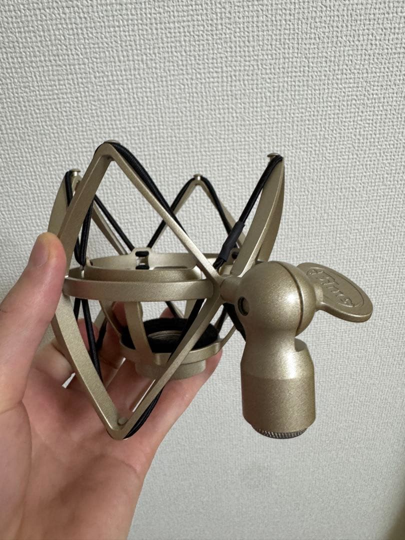 BLUEBIRD SL コンデンサーマイク ほぼ新品