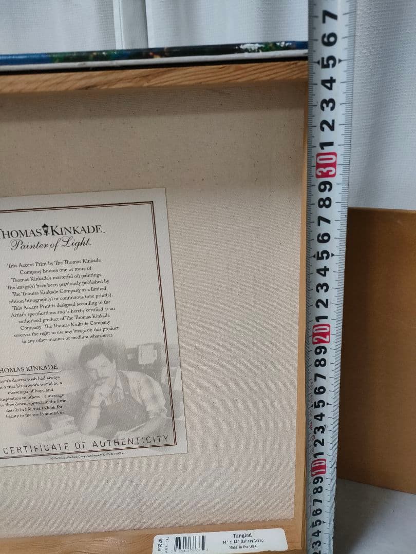 ★ディズニー/ トーマス・キンケード「塔の上のラプンツェル」