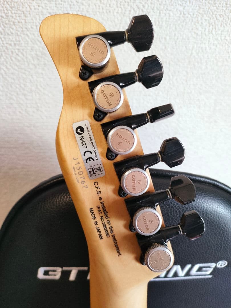 ギター FUJIGEN(FGN) J-Standard JIL2-ASH-DE-M