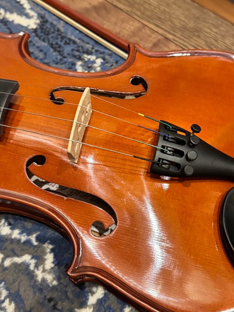 Carlo giordano バイオリン VS-0-44 4/4 フルサイズ