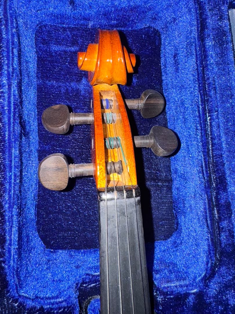 Carlo giordano バイオリン VS-0-44 4/4 フルサイズ