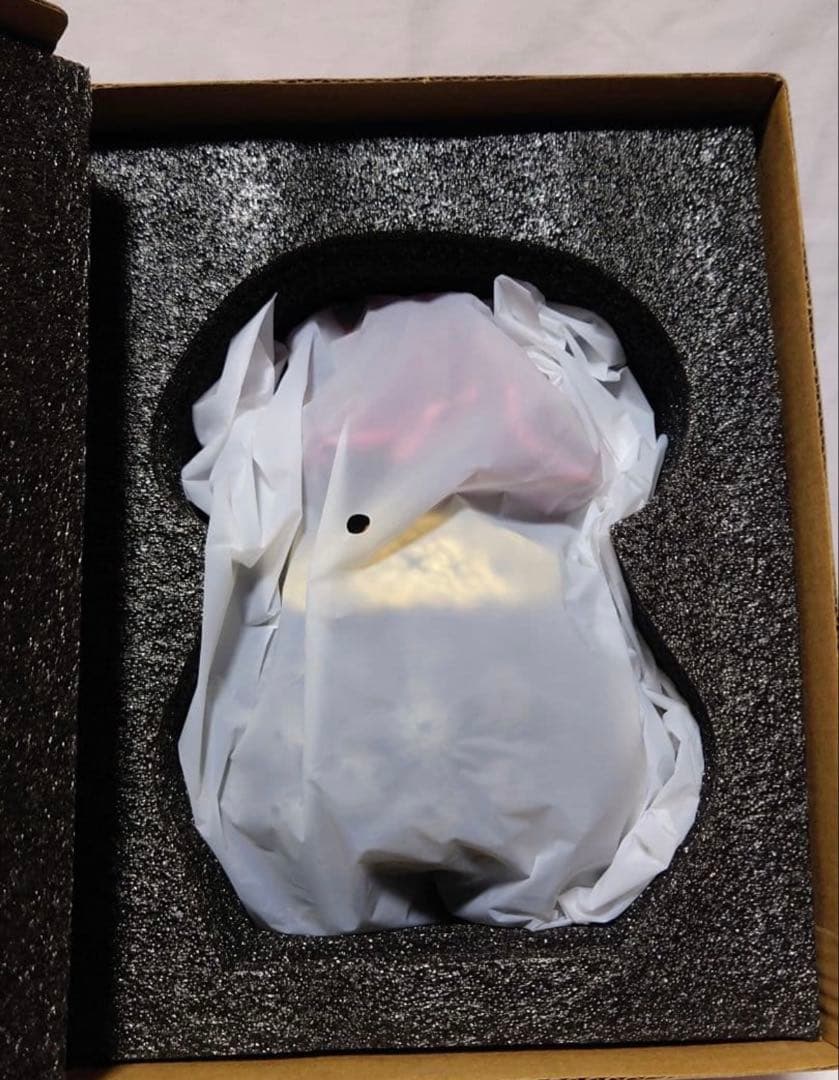 【新色】 羅本製所 Copiapoa Flower season 黑王丸花季