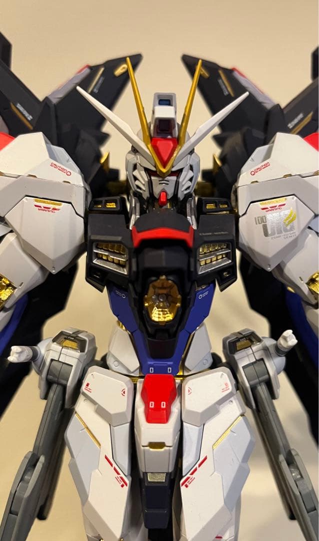 メタルビルド　ストライクフリーダムガンダムSeoul blue ver.