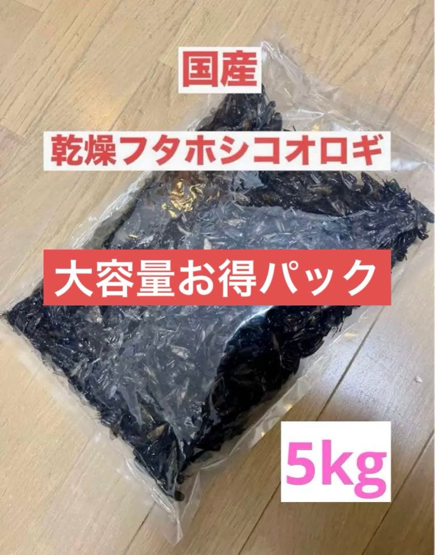 大容量⭐︎国産養殖　乾燥フタホシコオロギ　5kg
