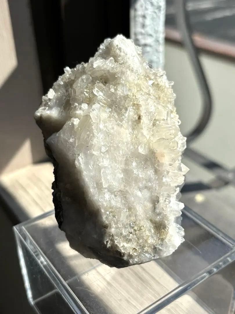 MGM【オールドストック・証明書あり】　メロディグリーンマイン