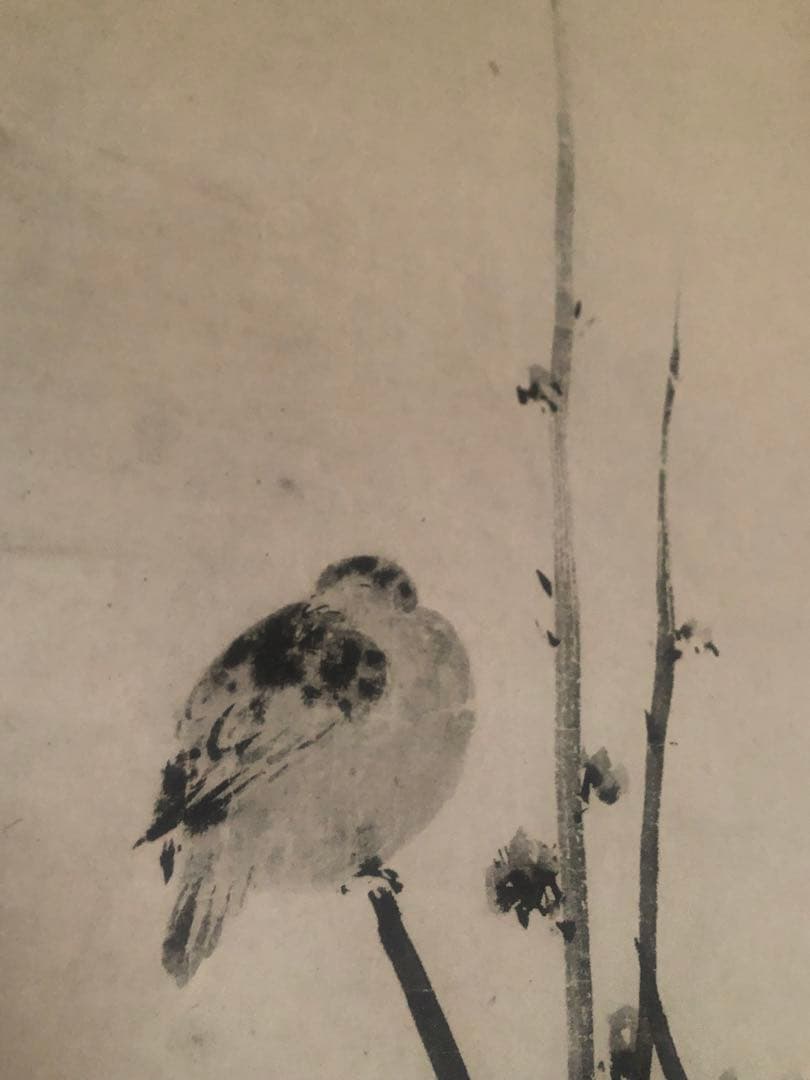 【複製】宮本武蔵「紅梅鳩図」重要文化財 表装済 183×49cm