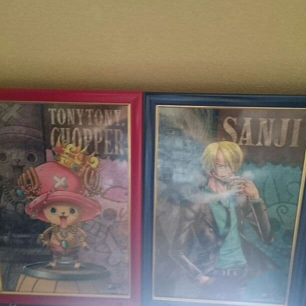 ワンピース パズル 額付き