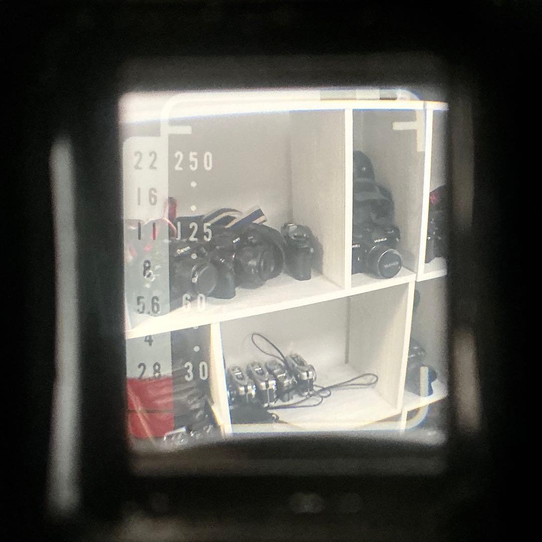 FUJICA Half 整備済