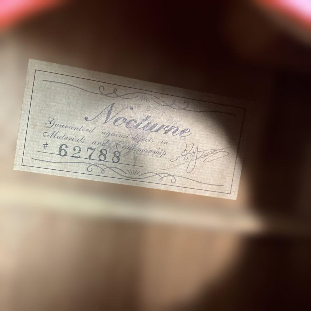 ☘️Kヤイリ　ノクターン+ピックアップ+ケース付き