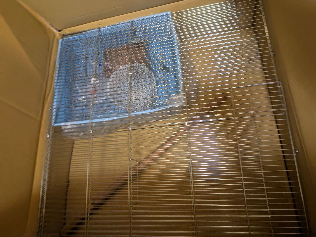 【新品】リスくんのマンション