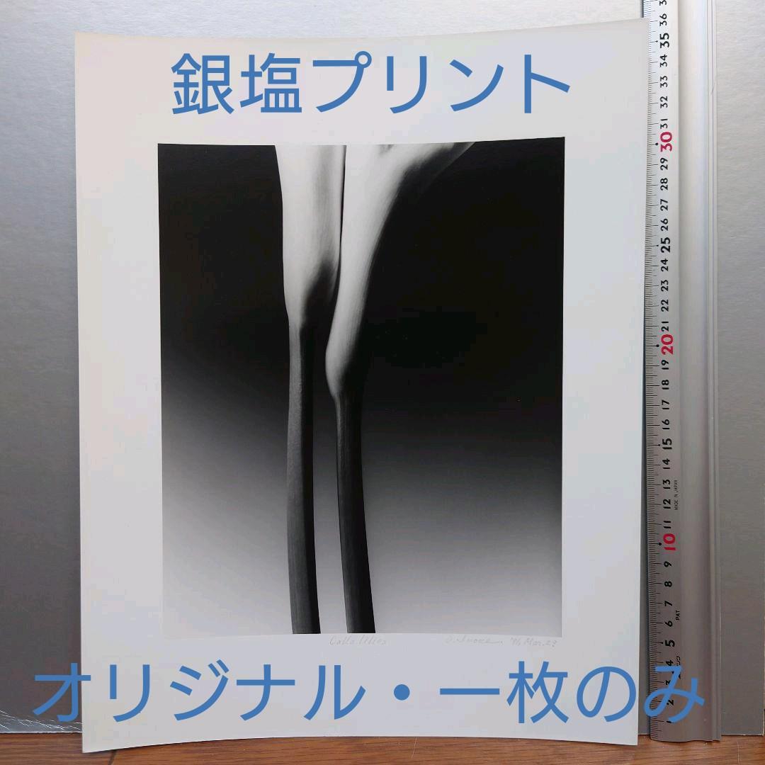 銀塩プリント・世界に一枚のみ　井上治（Osamu Inoue）フォトアート作品