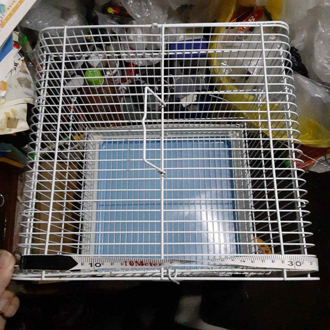 超素敵☆三晃商会☆サンコー☆イージーホーム☆バード☆３５−ＢＬ☆手乗り☆残1