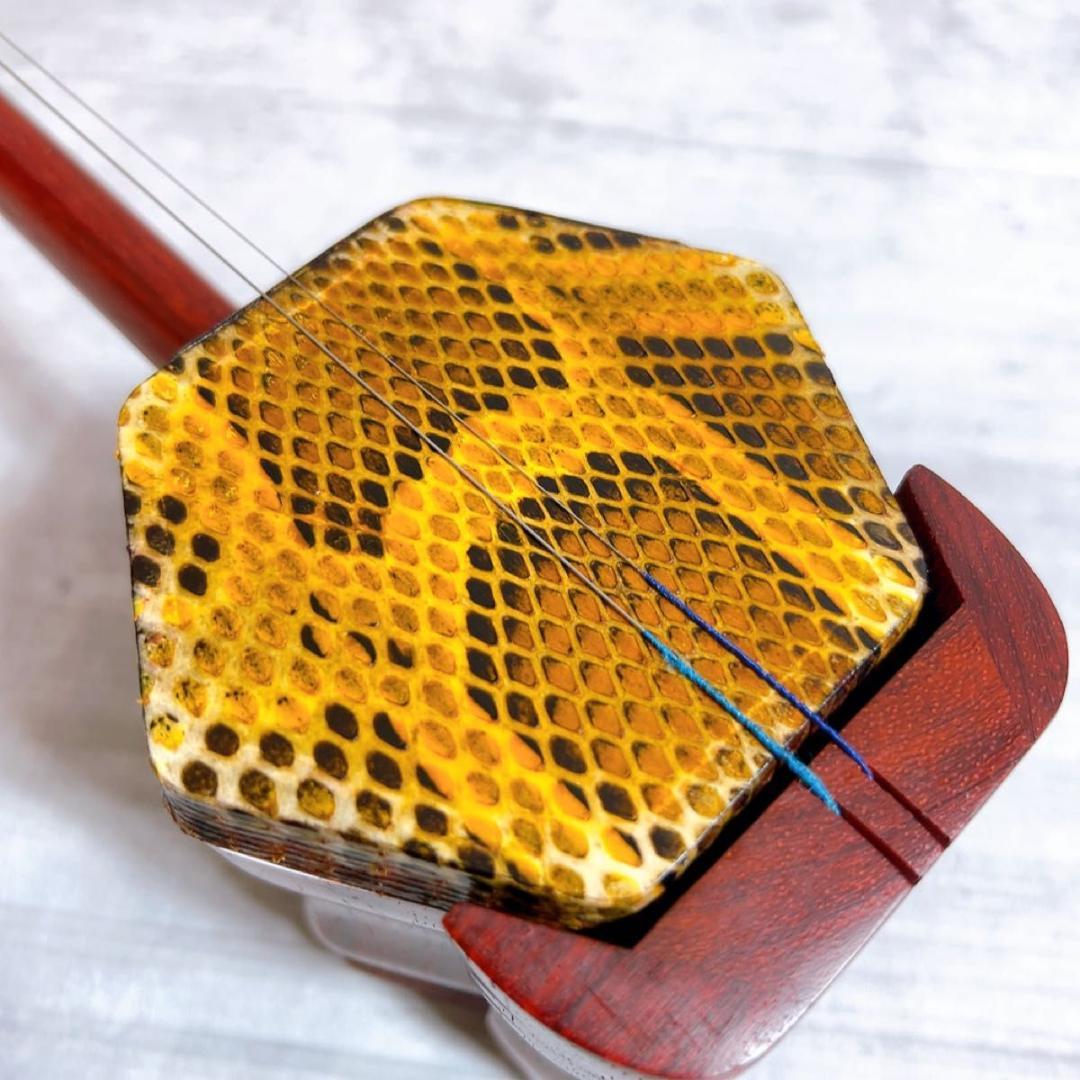 未使用! 蘇州二胡　紅木精品　中国楽器　二胡　胡弓　ケースセット 弦楽器