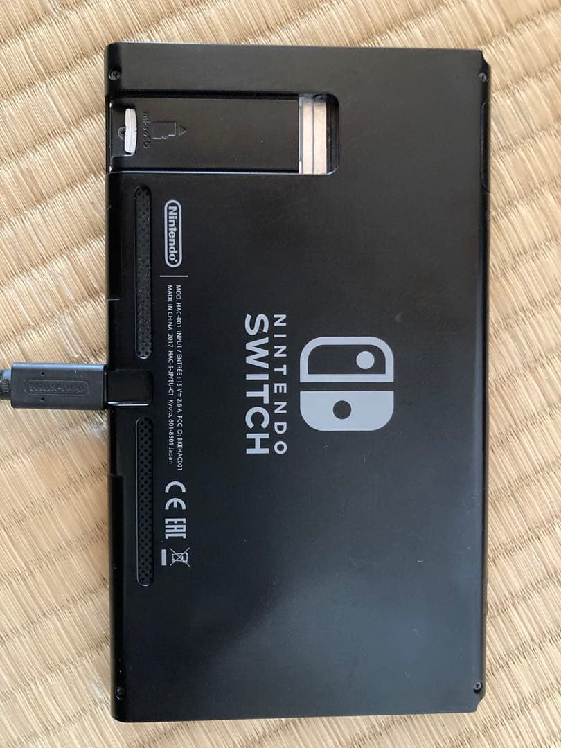 Nintendo Switch Joy-Conなし