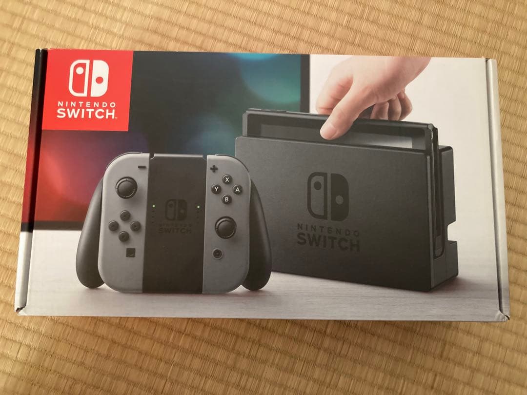 Nintendo Switch Joy-Conなし