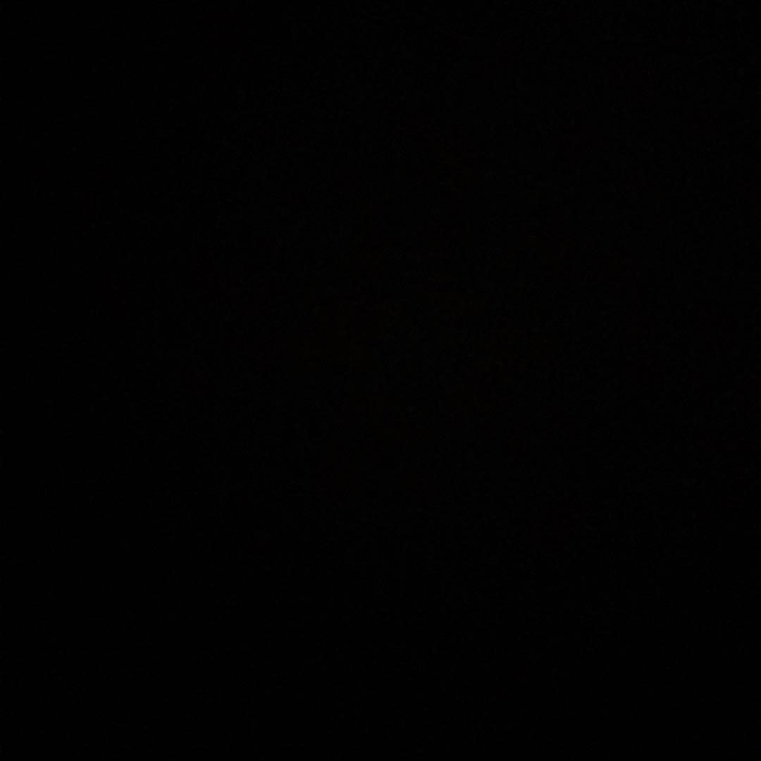 Nintendo 3DS LL ブルー スカイツリー