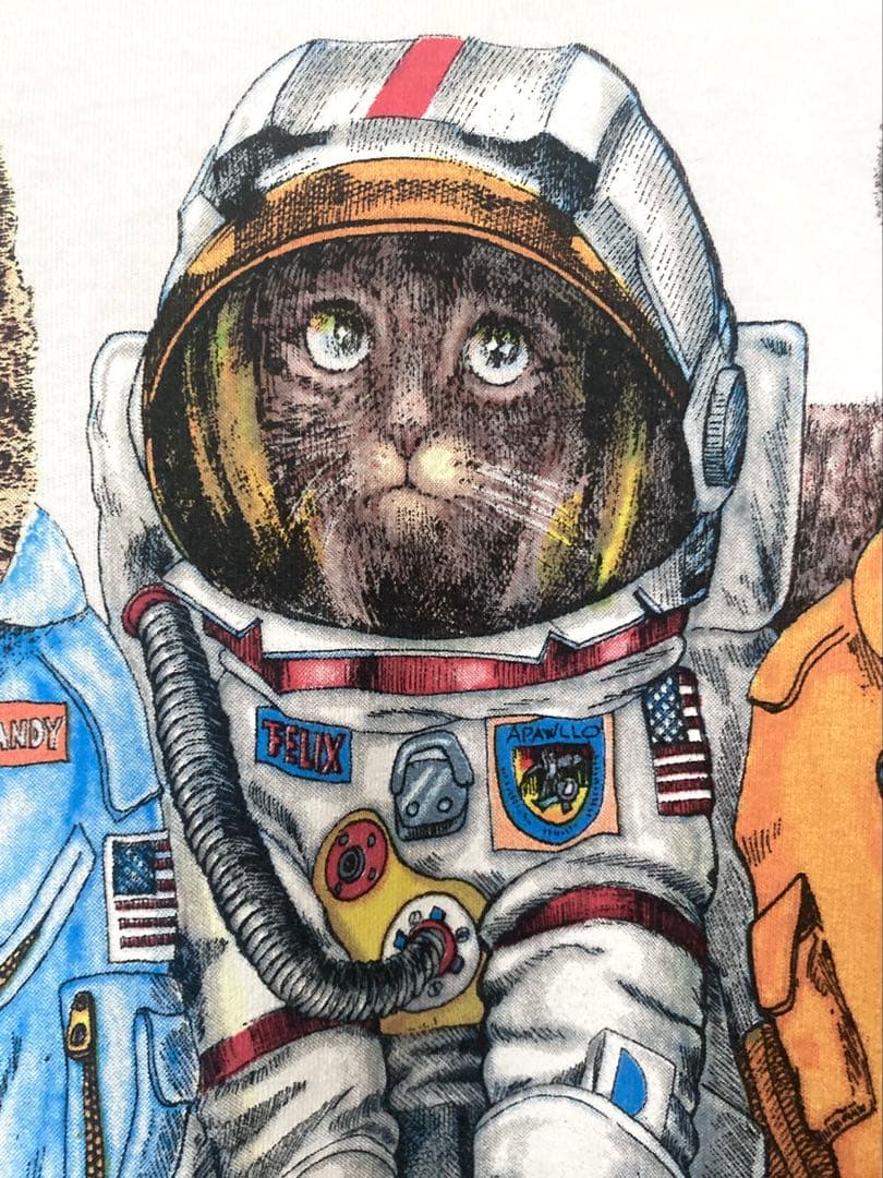 NASA CATS vintage old 80s90s00s ネコ好き
