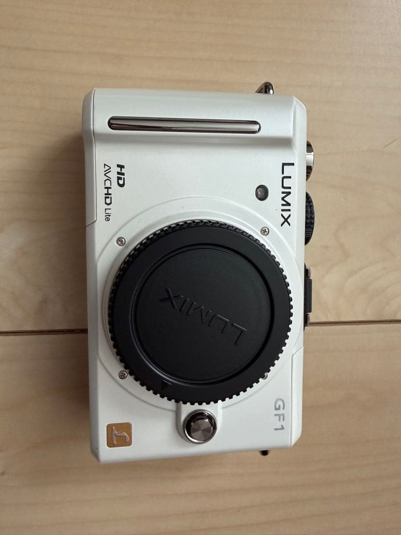 Panasonic GF1 ミラーレスカメラ 14-140mmレンズ