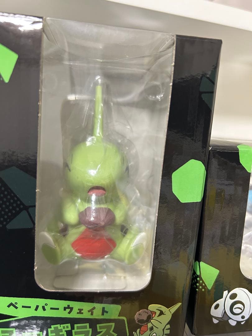 CAVE DWELLER 3点セット