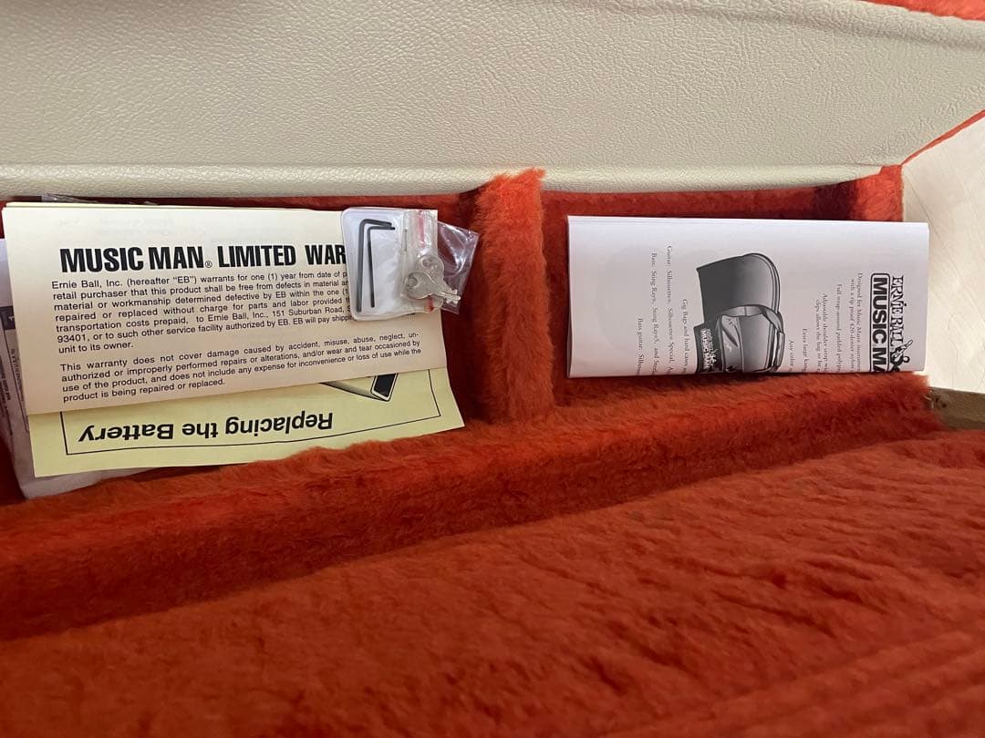 ミュージックマン　スティングレイ　20周年記念モデル　美品　レア