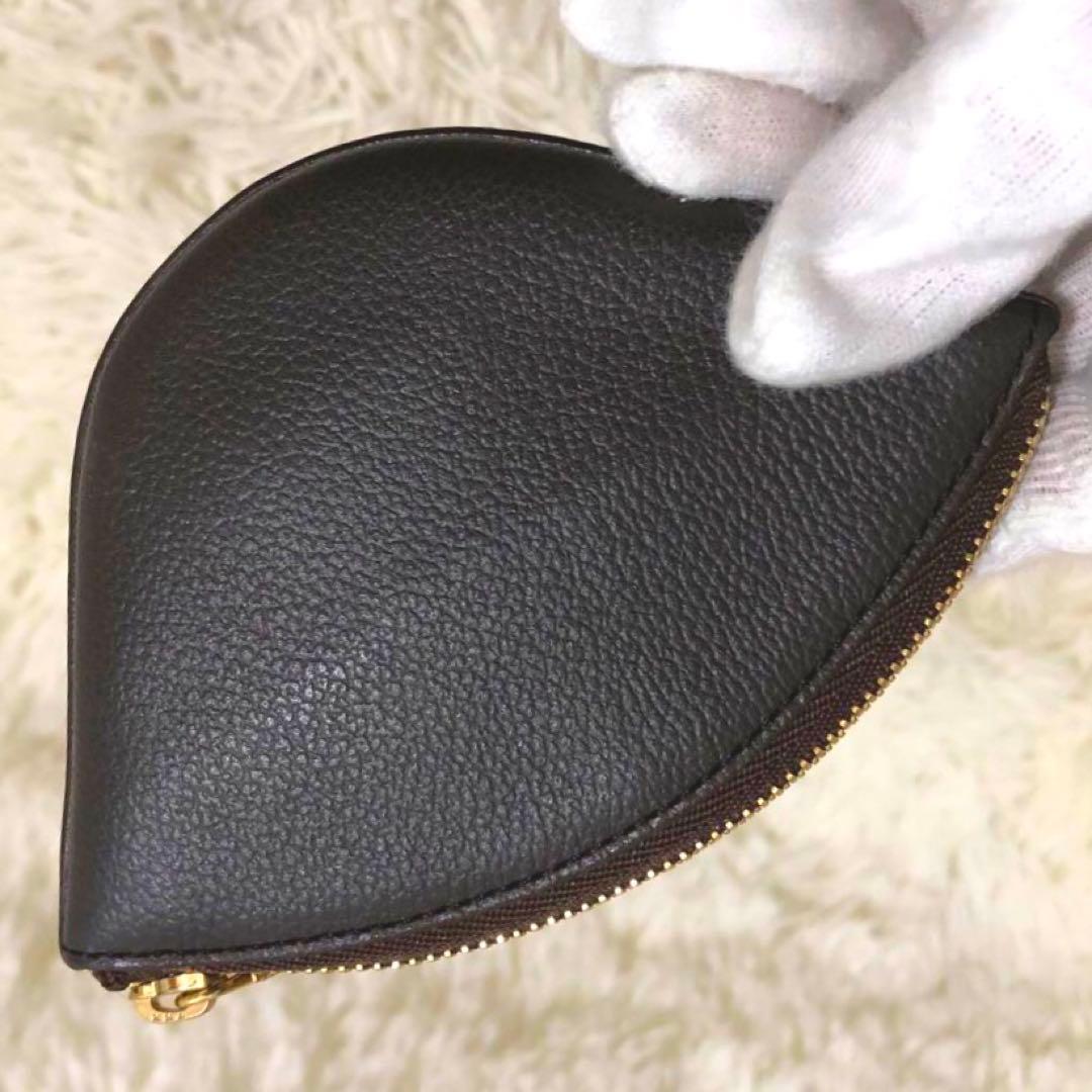 未使用✨デルヴォー レザー　ケース